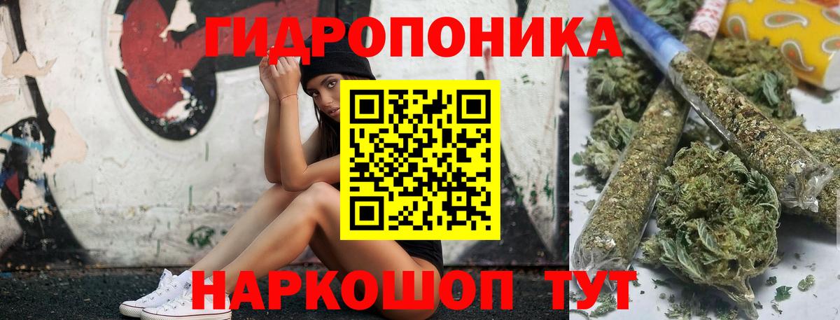 Шишки марихуана семена  Вход с VPN  Канабис VHQ  Россия  Марихуана OG Kush  Бошки марихуана семена 